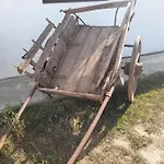 The Near The