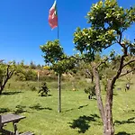 The Near The Pedrogao Grande