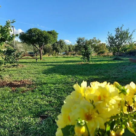 The Near The Chalet