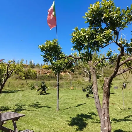 The Near The Pedrogao Grande