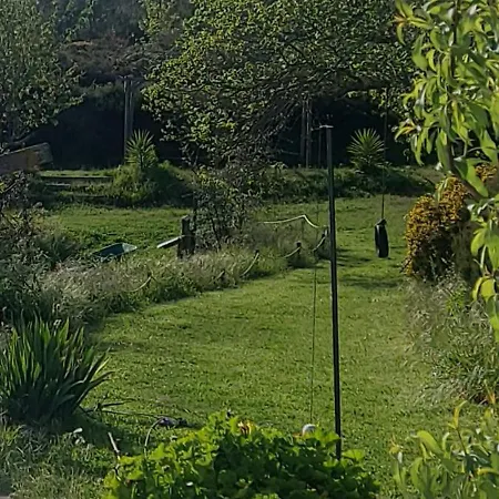 Alpehytte The Near The